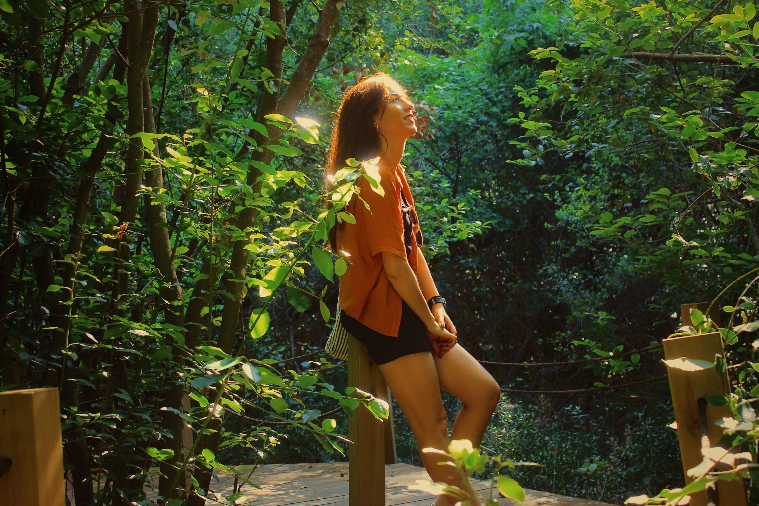 Green Therapy: Harnessing Nature’s Healing Powers